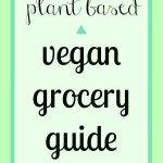 Plant Based Vegan Grocery Guide – What’s in my Glowing Fridge?