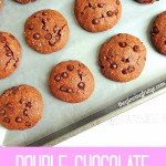 Double Chocolate Oil Free Cookies