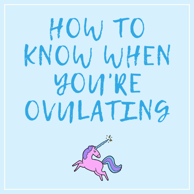 Physical Signs of Ovulation. How To Know When You are Ovulating and what to look for. Fertile mucus, BBT, twingy cramps and more. #ovulation #symptoms