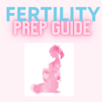 Fertility Prep Guide eBook